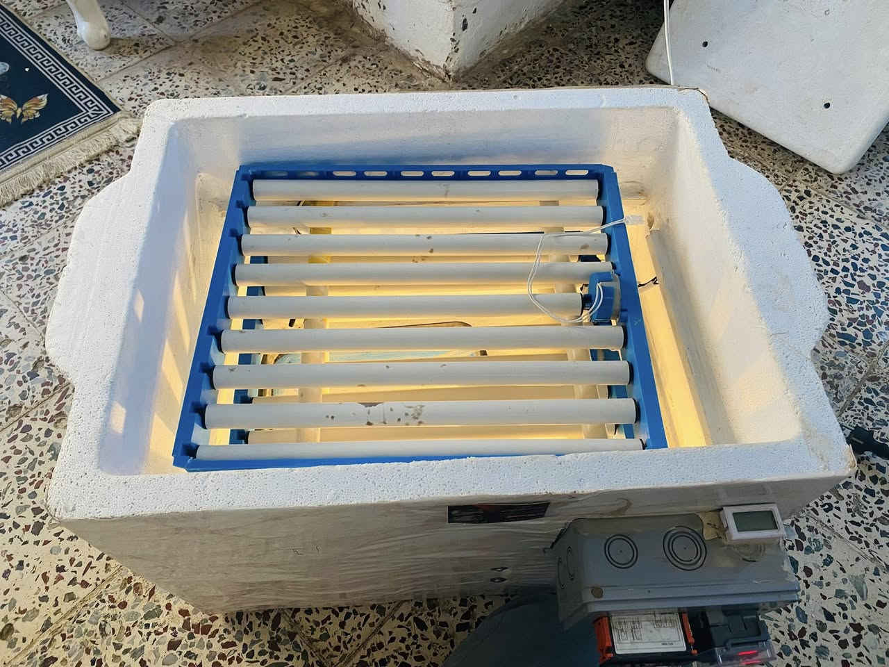 للبيع فقاسة نظيفة
اتشغل وتفحص وتقتنع وتاخذها 
عدد البيض 120 
السعر 80 الف .


**إذا كنت صاحب هذا الإعلان وتريد حذفه لأي سبب، رجاءا أرسل رسالة إلى الدعم الفني**