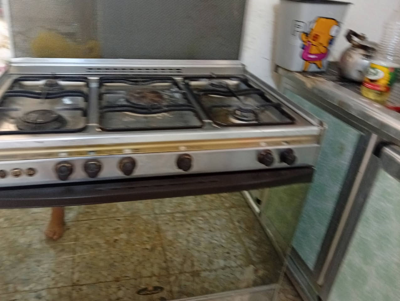 طباخ كريازي اخو الجديد السعر خاص


**إذا كنت صاحب هذا الإعلان وتريد حذفه لأي سبب، رجاءا أرسل رسالة إلى الدعم الفني**