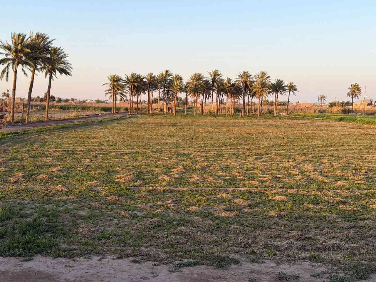 4 دونم من السده الى الشط في الرمادي زنكورة للبيع🌊🌿

للبيع أرض مميزة جداً بموقع استراتيجي وإطلالة ساحرة، تمتد من السدة وصولاً إلى حافة الشط.

📍 الموقع: الأنبار - الرمادي - منطقة زنكورة (قبل مزرعة الشيخ إحسان).

📐 المساحة: 4 دونم طابو زراعي .
📏 الواجهة: 40 متر على السده والشط
📑 التفاصيل القانونية: طابو زراعي - سند 25.

المميزات:

✅ إطلالة مباشرة وخلابة على نهر الفرات.
✅ خدمات كاملة متوفرة (كهرباء، طرق، وصول سهل).
✅ الأرض مثالية لتكون: (مزرعة خاصة، مشروع استثماري، مشروع زراعي، أو سكني خاص).

لا تفوت فرصة الاستثمار في أجمل مناطق زنكورة حيث الهدوء والطبيعة والخدمات.

عقارات زنكورة: خياركم الأمثل للاستثمار الناجح.

لديك عرض أو استفسار؟ لا تشيل هم! 💬
فريقنا بانتظار تواصلكم للرد على جميع طلباتكم بكل اهتمام.
📲 اتصل أو أرسل لنا عبر الأرقام:
***********

🏛️موقع المكتب ⏬️⏬️
أو زيارة موقعنا :  الرمادي_ ناحية اليرموك (زنكوره سابقاً)_ المفرق  /مقابل جامع هادي البشير (البمرعي)

#مكتب_عقارات_زنكورة 🕹️
 #ناحية_اليرموك_زنكوره_سابقاً 

#الأنبار #الرمادي #زنكورة #عقارات_الأنبار #أراضي_للبيع #استثمار_زراعي
