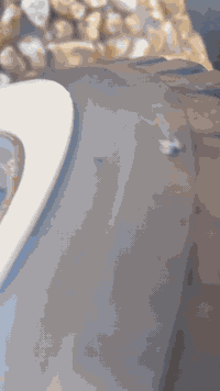 سلام عليكم تكتك للبيع موديل 21سنويه الاستفسار ***********
