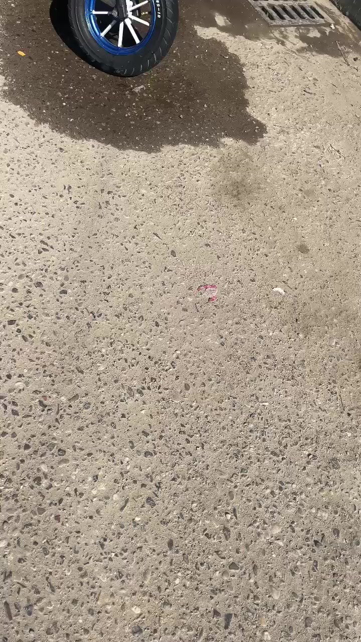 ماكس عدله مال لعب دراجه 55 دراجه ماناقصها شي بس سلف يرادله شخاطه  دراجه هندر واحد شلعه ومعدل وخلجات رياضي وقبق فلاوين و الوياله لونين وقبابه كور لو ازرك دراج تخبل وماناقصه شي   مكان البصره الامن الداخلي السعر (575)بيه مجال حك جيه بس تواصل واتساب فقط ***********
