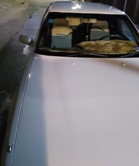 كفالة • نقل سنوية • البصرة