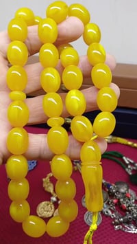 سندلوس افغاني • خشن • عطاب واضح