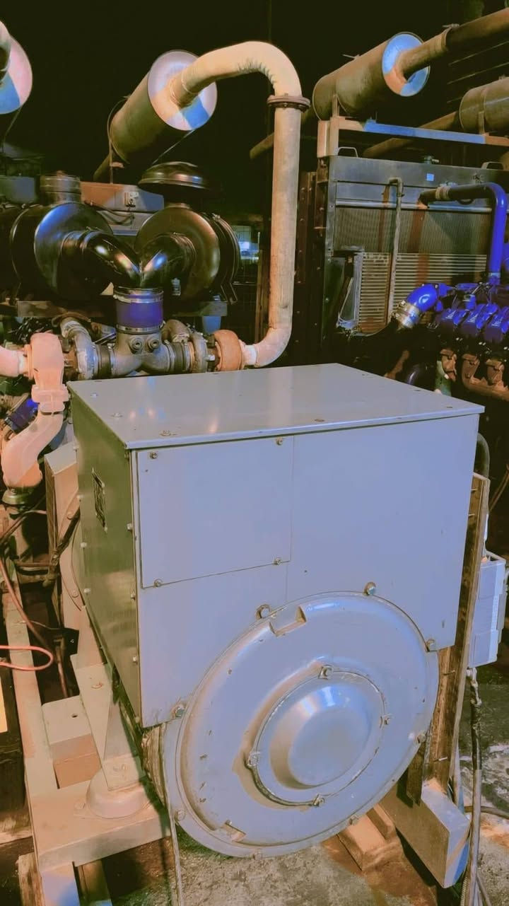 السلام عليكم توليد ستانفورد بلادي 500 كيفي للبيع على الحمل السعر 40 ورقه مكان البلديات بغداد الرقم ***********
