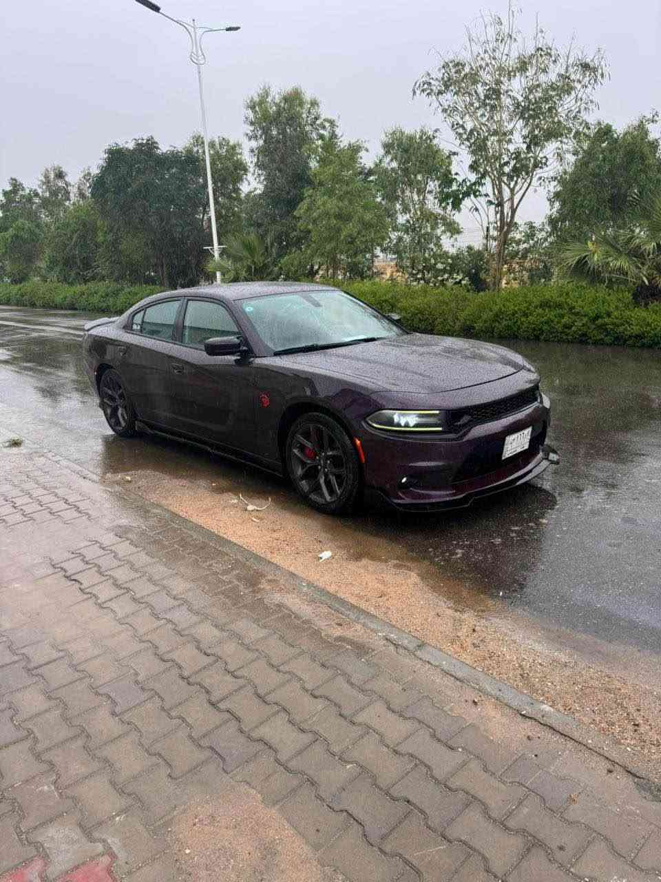 جارجر 22 اصل 
سعر 188

رقم بغداد لون بنفسجي تحويل 
كير مكينه كفاله كله وضع شركه حتى الفيت بم 

كامره دواره 
بصمة ابواب 
حساسات خلفيه 
كروس سرعه 
تحكمات ستيرن 
بصمة ابواب وتشغيل 
شاشه كبيره 
تشغيل عن بعد 
كشن كهربائي 
ويل GT

المكان البصره 
الامن الداخلي 
للتواصل *********** البصرة, العراق
