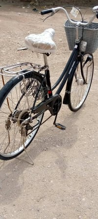 بيسكل • حجم 26