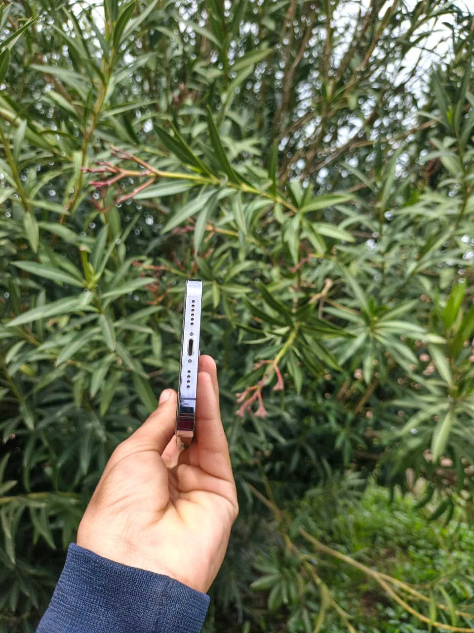 سلام عليكم ١٤ برو ماكس جهاز شرط النضافه شرق اوسط غراض كامله بطاريه ٨٦ بلاد بلاد جهاز خير من الله مال جناي للبيع او مراوسه ويه الترا سعر ٩٣٠


**إذا كنت صاحب هذا الإعلان وتريد حذفه لأي سبب، رجاءا أرسل رسالة إلى الدعم الفني**