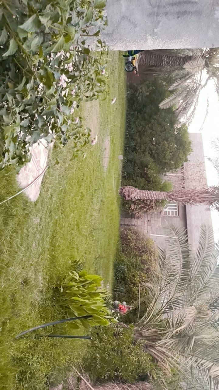 دار لبيع مساحته دونم مع بستان 5 دوانم
موقعه/ ديالى(قضاء الخالص ابو تمر)
ملكيته/عقد 35 صرف
السعر خاص على الرقم ***********
واتساب على ***********
