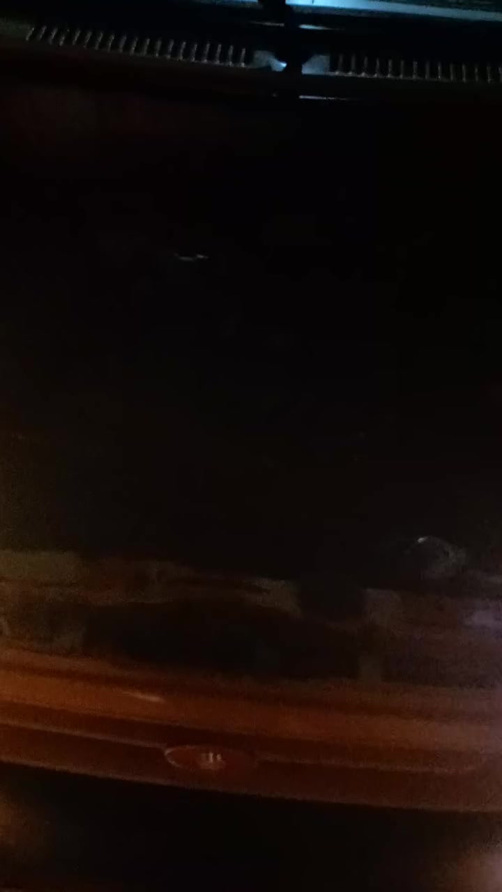 سايبا مديل12رقم احمرسعرمليون وربع مکينه کيرنضاف اتکفل سرقه وعشاير***********
