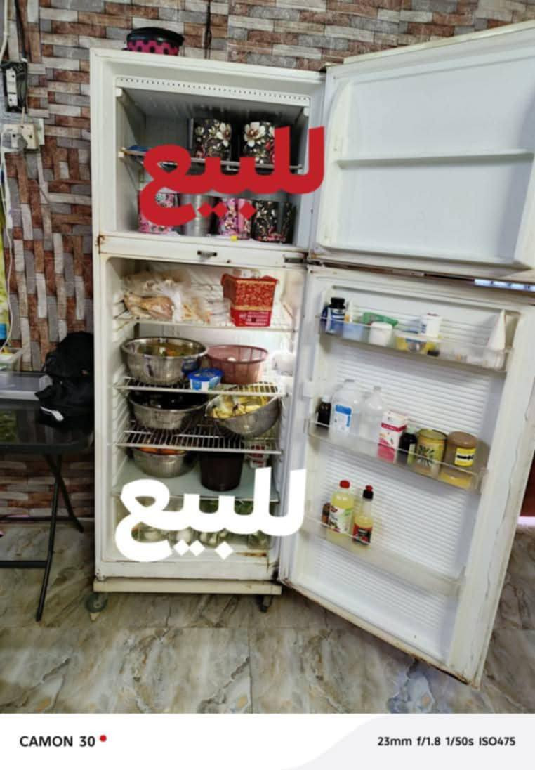 شغاله تجميدها فول  السعر 200
24 قدم


**إذا كنت صاحب هذا الإعلان وتريد حذفه لأي سبب، رجاءا أرسل رسالة إلى الدعم الفني**