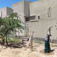 البصرة ابو الخصيب • ٢٧٠م • طابو زراعي