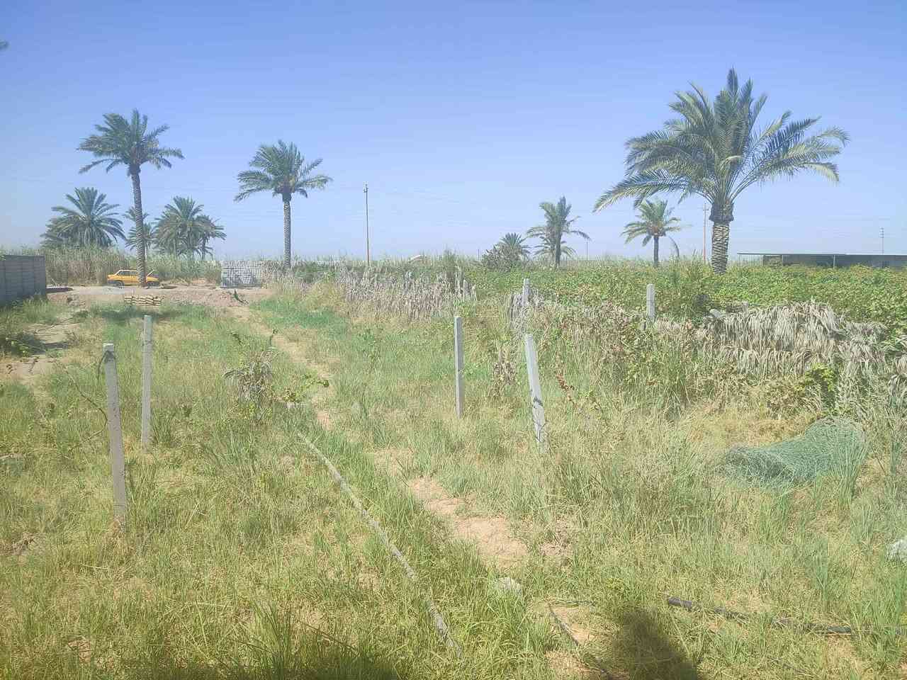 🌴 للبيع – 1000 متر 🌴
       

📍 الموقع: بغداد – المدائن – قرب مجمع بسماية 
🌊 تبعد عن شارع كوت بغداد 3 كيلو خلف محطه كهرباء بسمايه
📐 المساحة: 1000
🚪 واجهة 15 متر نزال 67متر
✅ خدمات كاملة (ماء – كهرباء – شارع سبيس _ماء بير أيضآ )
🌳 مشجّر ومناسب للسكن أو الاستثمار
السعر المطلوب بالقطعة 52 مليون وقابل للتفاوض 
📞 للاستفسار: يرجى مراسله وتساب ***********
