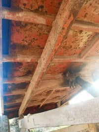 عربانه طويريج نضيفه كلش جك نضيف شواصيهه حلوه  للاستفسار الاتصال على ال...