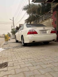 شاهينه • ٢٠٠٥ • ابو الخصيب