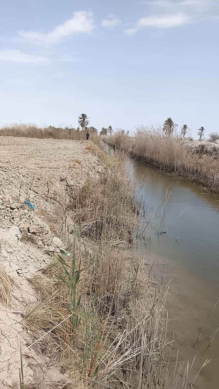سلام عليكم  اخوان قطعت طابو اسود صرف مشترك ارض اربع دوانم اله ربع نهر رايسي بضهرها شارع كهربه بوري اساله ابو سدته بشارعها بس تعرفون ماكو ماي مكانها الهارثه المسحب المسراح تفاصيل تصال ***********
