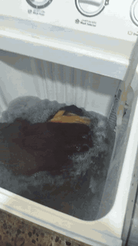 غسالة الحافط حجم 18 كيلو بعدهي جديدة تغسل بطانيه وتنشفه السعر اب 125 ألف ***********
