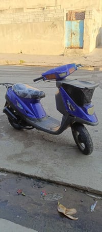 بزون • شغال • الكوير