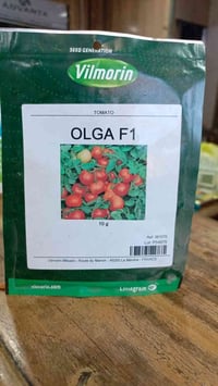 متوفر بذور  طماطة OLGA F1 (شركة Vilmorin )  صنف هجيني أولي من (فرنسا)....