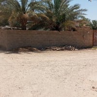 ديالى كنعان • ١٠٠٠م • زاوية