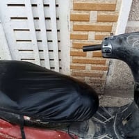 ثعلب نوزل • شغالة • هندل وسلف