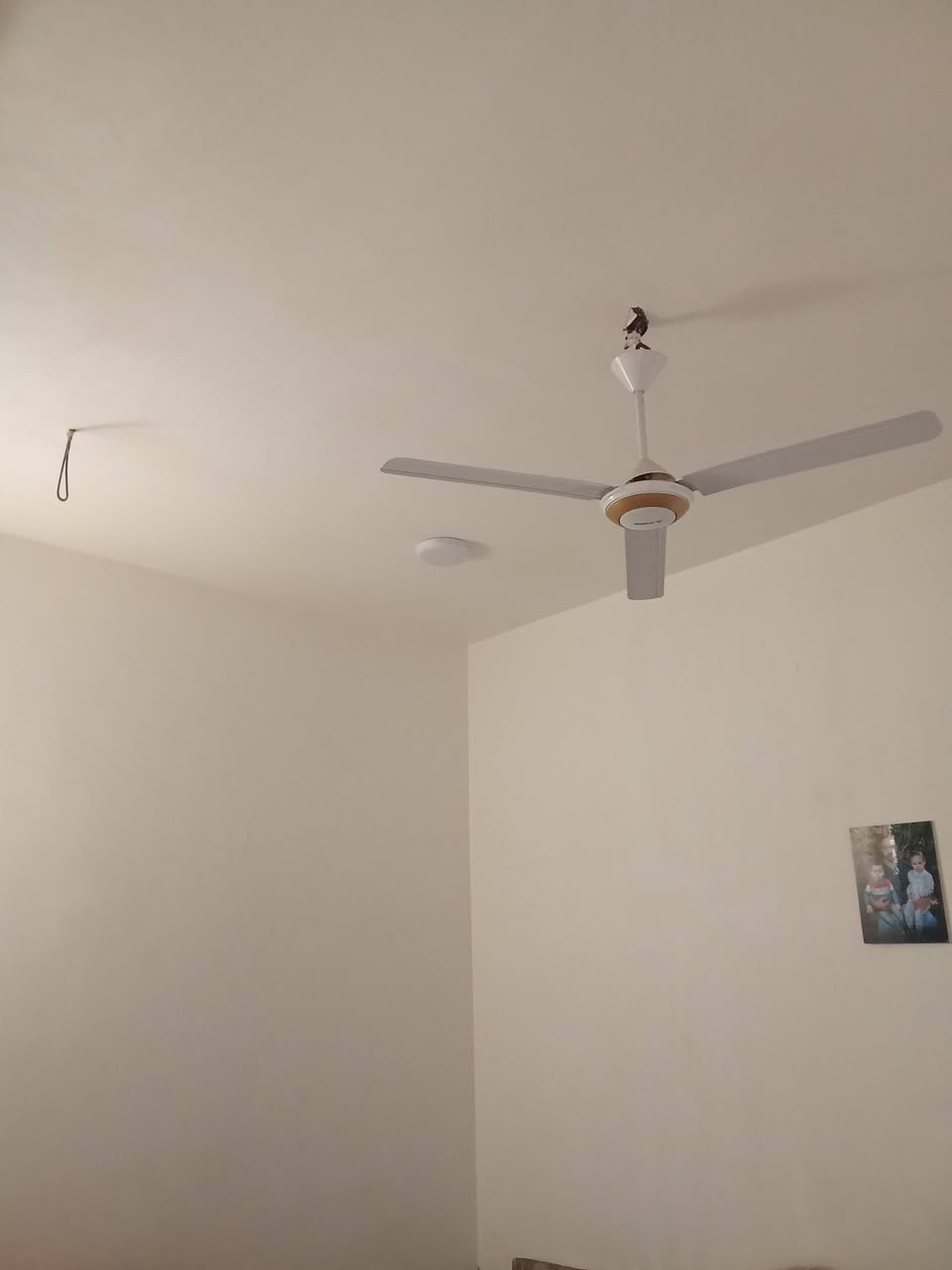 بيت للبيع 100 متر عرصات حجي هندي حولي الخصيمه خلف مولده نصير مشمول بتطويب معامله  كامله يم البلدية يحتوي على غرفه وصاله وصحيات ومطبخ بارد وحار واستقبال بيع مستعجل وسعره مناسب تبليط بلباب خدمات كامله ***********
