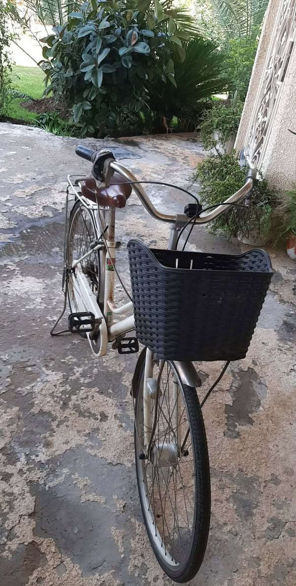 بايسكل للبيع مكان الطارمية


**إذا كنت صاحب هذا الإعلان وتريد حذفه لأي سبب، رجاءا أرسل رسالة إلى الدعم الفني**