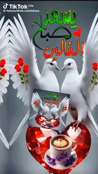 الدورة المهدي الثانية • ١٦٧م • طابو