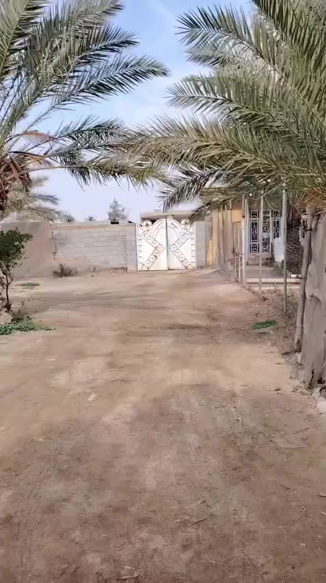 السلام عليكم للبيع خمسه دونم في الصويره قريه الصامدين طريق صويره جبله وتحتوي على دار سكن عدد2 ويوجد حصه مائيه وماء اساله وكهرباء سعر الدونم الواحد ٣٣ بيه مجال للاستفسار الاتصال *********** ووو ***********
