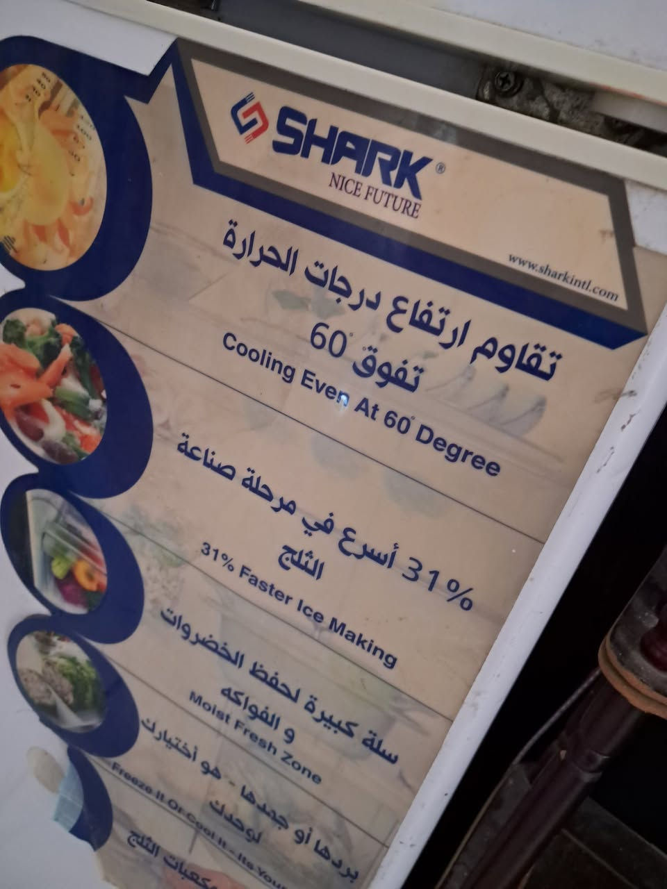 سلام عليكم مرخصت الادمن أغراض للبيع مكان لبياع شرطه الخامسه اي استفسار خاص غراض


**إذا كنت صاحب هذا الإعلان وتريد حذفه لأي سبب، رجاءا أرسل رسالة إلى الدعم الفني**