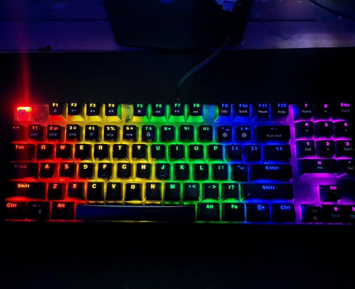 شلعه 35
ماوس x11 
كيبورد onikuma 
كيبورد اول ماخذته esc ميشتغل
توصيل موجود


**إذا كنت صاحب هذا الإعلان وتريد حذفه لأي سبب، رجاءا أرسل رسالة إلى الدعم الفني**