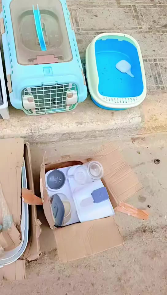 قطع تخص الحيوانات. انطوني سعر بعد وياهن 4 قطع بالمخزن بيوت ولتر بوكس... البيع شلعه..


**إذا كنت صاحب هذا الإعلان وتريد حذفه لأي سبب، رجاءا أرسل رسالة إلى الدعم الفني**