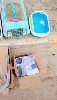 قطع حيوانات • ٤ قطع • بيوت ولتر بوكس