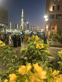 النور لخدمات المعتمرين انتهى الموسم ولله الحمد كان ناجحا بفضل الله ومن...