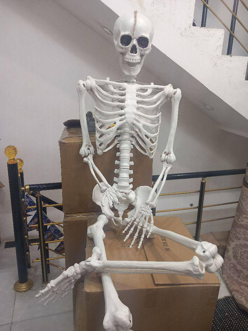 السلام عليكم 
 هياكل عظمية كلشي بسعر مكتوب ع الصور مع القياس


**إذا كنت صاحب هذا الإعلان وتريد حذفه لأي سبب، رجاءا أرسل رسالة إلى الدعم الفني**