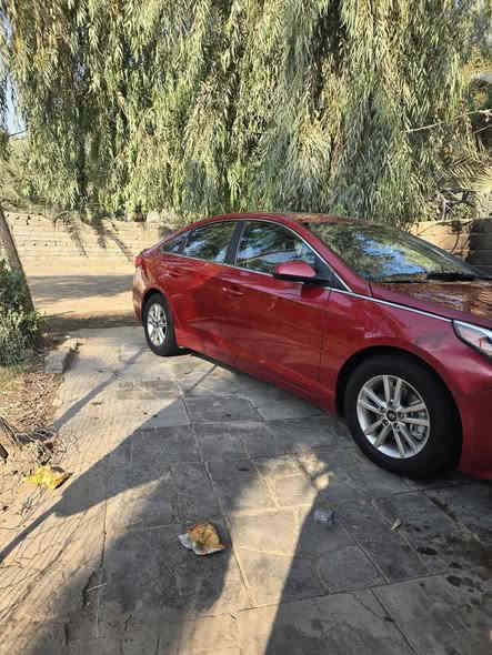 السلام عليكم 
سوناتا وارد أمريكي
موديل 2017
رقم أربيل وكاله او تحويل 
السياره بيهه صبغ جاملغ وبنيد بدون داخل 
السياره جاهزه من كلشي 
السعر 115 وبيهه مجال 
***********
***********
