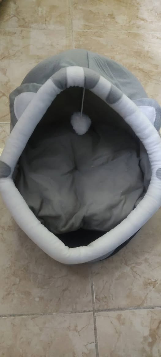 بيت قطط او كلاب مع ملابس قطط مثل الي بالصوره السعر الكلي 14 الف مع التوصيل


**إذا كنت صاحب هذا الإعلان وتريد حذفه لأي سبب، رجاءا أرسل رسالة إلى الدعم الفني**