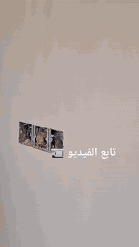 جص • بورك • مبيضجي