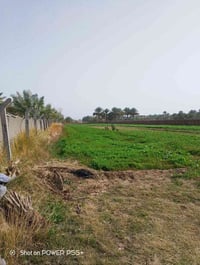 طابو زراعي • حله بابل • 4675م