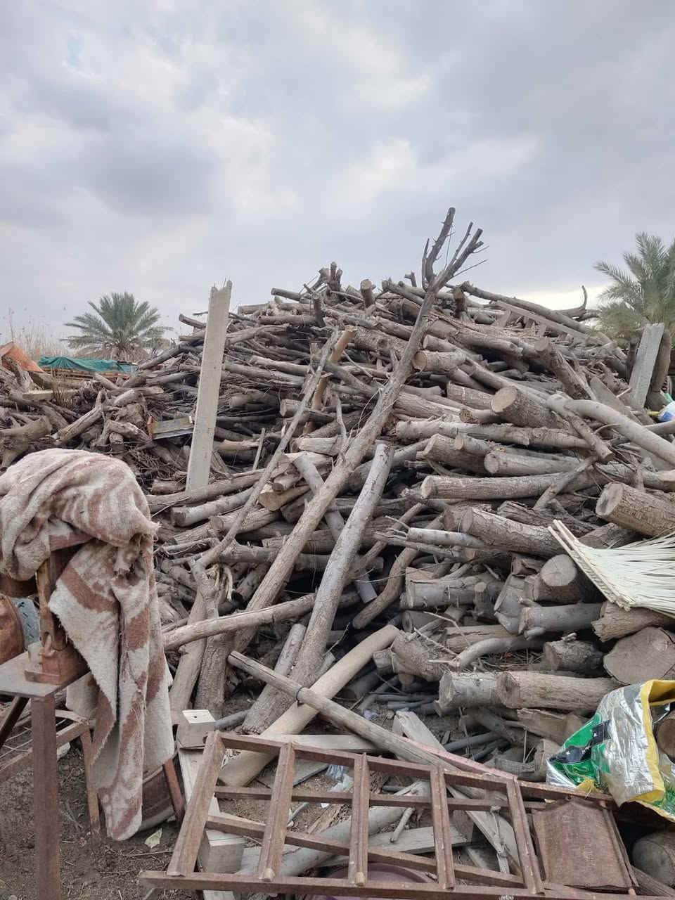 السلام عليكم اخوان
حطب يابس اهل الشوي الي يريد يراسلني خاص


**إذا كنت صاحب هذا الإعلان وتريد حذفه لأي سبب، رجاءا أرسل رسالة إلى الدعم الفني**