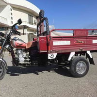 ستوته • موديل 2020 • فحل عالي