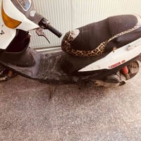 دراجة ماكس • باتري جديد • اغراض اصلية