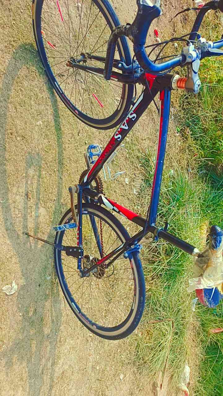 السلام عليكم
للبيع بايسكل سباق حلو ونظيف 
بي بعض الترتيبات 
ب١٢٠ وبي مجال 
يوجد توصيل جميع المحافظات
***********
