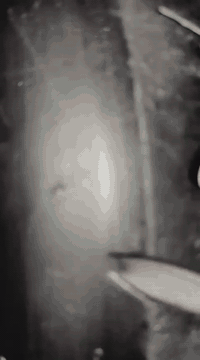 السلام عليكم
للبيع او مراوس 
بطه موديل 2000 دبل سكليتر 
شاصي مكفول
 محرك ناعم يخبل مفتوح مره وحده على ايدي شرط 
كهربائيات كامله سلف لايت بك لايت  
ناقصها بس كلوبات اشاير سعرهن 1000 دينار و هورن 
كفرات بلاديه نضيفه بس الامامي مكسور شويه  
دراجه كامله باتري جديد وكلجات وقايش جدد 
ونواقصها خفايف خارجيه بس 
السعر 325 وبيها مجال بسيط رقمي***********
مكاني كربلاء حي العسكري قرب صيدلية الرونق
