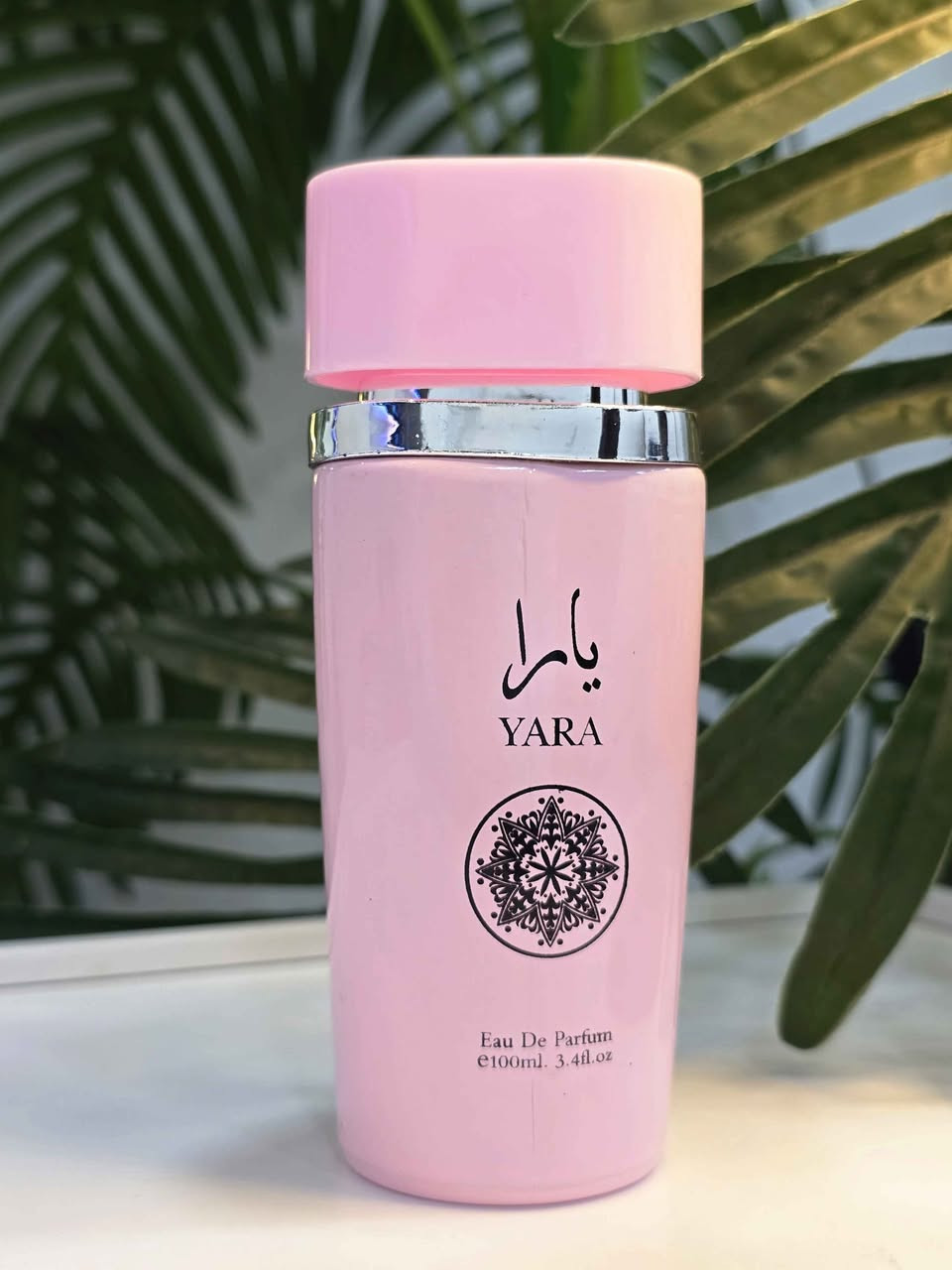عطور القطعه 10 الف ماستر ثباتيه وفوحان كركوك, العراق


**إذا كنت صاحب هذا الإعلان وتريد حذفه لأي سبب، رجاءا أرسل رسالة إلى الدعم الفني**