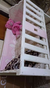 سرير اطفال • ٥ سنوات • الديوانية