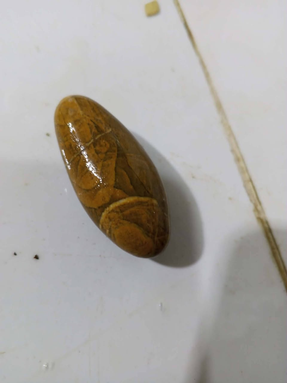 كول سعرك وبالعافية، عنوان بصرة، توصيل فقط داخل ابو الخصيب


**إذا كنت صاحب هذا الإعلان وتريد حذفه لأي سبب، رجاءا أرسل رسالة إلى الدعم الفني**