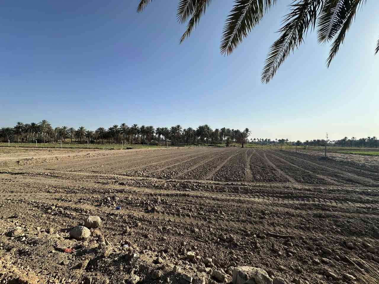 � أراضٍ للبيع مباشرة من المالك
❌ بدون وسيط

💰تبدء من 25 مليون
⚡ استلام فوري
🔌 خدمات كاملة
💳 نقد وأقساط

📍 حلّة / النيل – الوردية – الصياحية
📐 500م | 1000م | دونم

📞 ***********
📞 ***********
