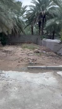 بعقوبة أم العظام • ١٥٠م • طابو زراعي