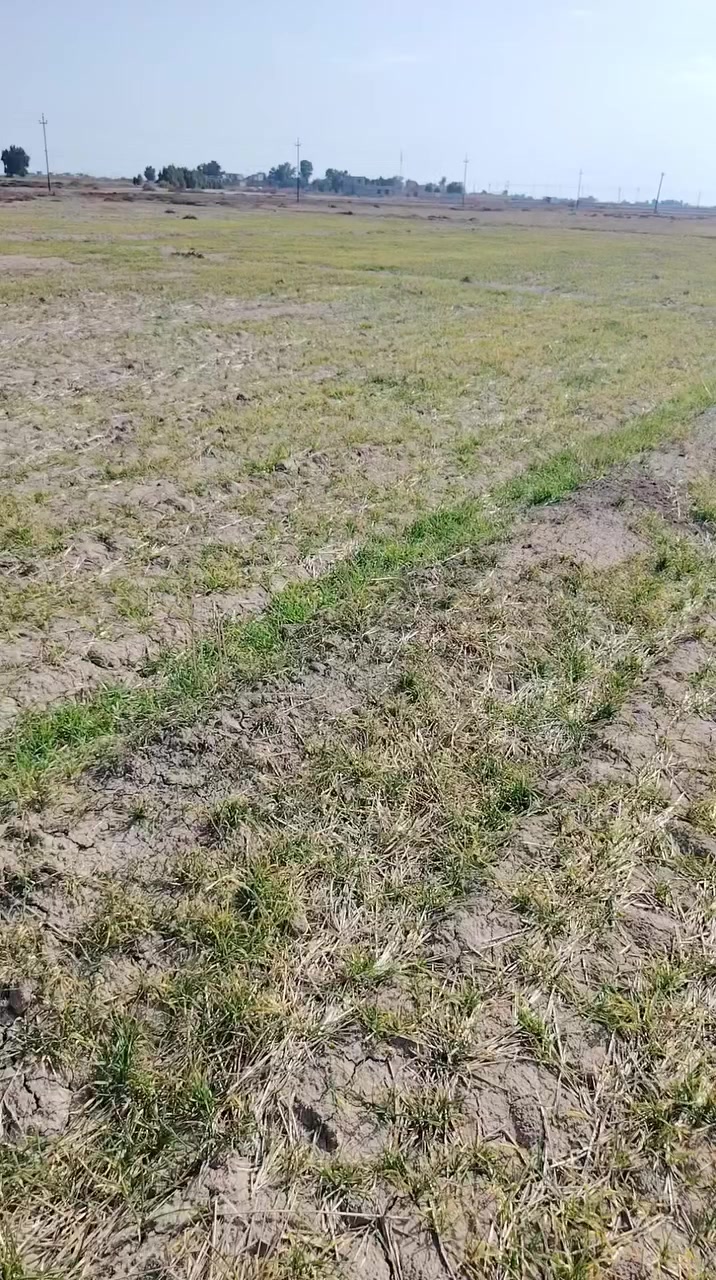 ارض زراعيه للبيع كل الخدمات متوفره ماء كهرباء مدارس مستوصف تقع على طريق سيد أحمد الرفاعي واجهيه الكاع عله الشارع العام قريبه عله الولايه ***********@ *********** اي استفسار خاص
