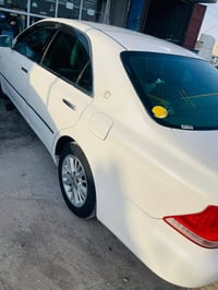 شاهينه • ٢٠٠٤ • بدون ضربه